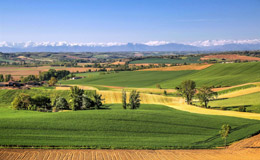 lien vers la page Projet Parc Naturel Régional en Astarac