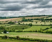 Plantons des haies en Occitanie