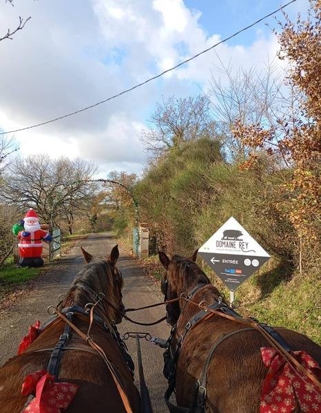 Marché de Noël à la ferme